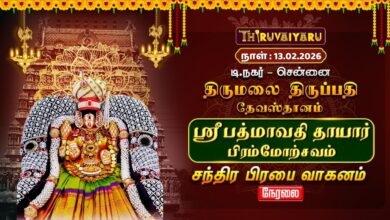 Photo of சென்னை தி.நகர் திருமலை திருப்பதி தேவஸ்தானம்ஸ்ரீ பத்மாவதி தாயார் பிரம்மோற்சவம் – சந்திர பிரபா வாகனம்