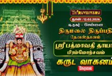 Photo of சென்னை தி.நகர் திருமலை திருப்பதி தேவஸ்தானம்ஸ்ரீ பத்மாவதி தாயார் பிரம்மோற்சவம் – கருட வாகனம் |