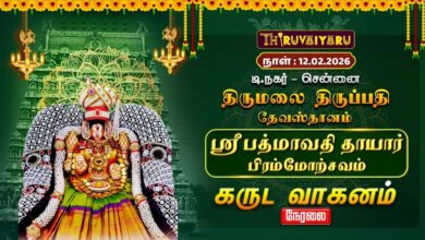 Photo of சென்னை தி.நகர் திருமலை திருப்பதி தேவஸ்தானம்ஸ்ரீ பத்மாவதி தாயார் பிரம்மோற்சவம் – கருட வாகனம் |