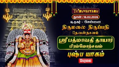 Photo of சென்னை தி.நகர் திருமலை திருப்பதி தேவஸ்தானம் ஸ்ரீ பத்மாவதி தாயார் பிரம்மோற்சவம் – புஷ்ப யாகம்