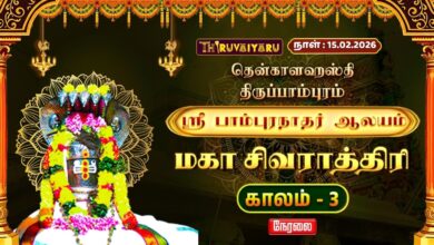 Photo of 🔴Live : திருப்பாம்புரம்  ஸ்ரீ பாம்புரநாதர் ஆலய மகா சிவராத்திரி விழா காலம் – 3 | Thiruppampuram