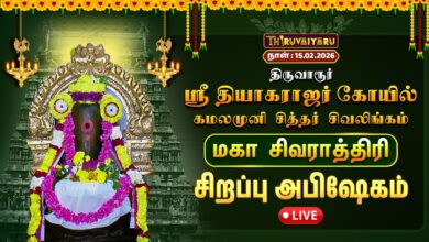 Photo of 🔴திருவாரூர் ஸ்ரீ தியாகராஜர் கோயில் கமலமுனி சித்தர் சிவலிங்கம் மகா சிவராத்திரி – சிறப்பு அபிஷேகம்