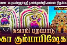 Photo of சென்னை – பெரவள்ளூர் ஸ்ரீ தான்தோன்றி அம்மன் ஆலய மகா கும்பாபிஷேகம் சுவாமி புறப்பாடு | Swami Purappadu