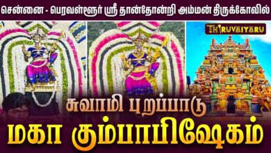 Photo of சென்னை – பெரவள்ளூர் ஸ்ரீ தான்தோன்றி அம்மன் ஆலய மகா கும்பாபிஷேகம் சுவாமி புறப்பாடு |  Swami Purappadu