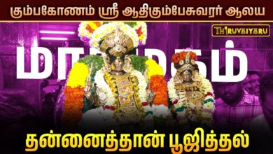 Photo of கும்பகோணம் ஸ்ரீ ஆதிகும்பேசுவரர் ஆலய மாசிமகம்  தன்னைத்தான் பூஜித்தல் சிறப்பு தரிசனம்