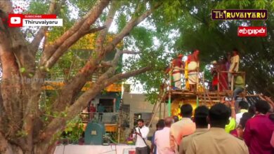 Photo of 🔴Live: திருநெல்வேலி ஸ்ரீ வேணுவன குமார் ஆலய மஹா கும்பாபிஷேகம் | Maha Kumbabishekam