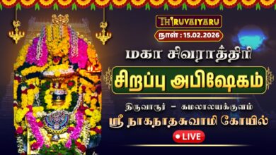 Photo of 🔴Live : திருவாரூர் கமலாலயக்குளம் ஸ்ரீ நாகநாதசுவாமி கோயில் மகா சிவராத்திரி – சிறப்பு அபிஷேகம்