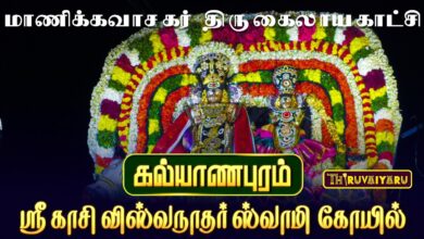 Photo of கல்யாணபுரம் ஸ்ரீ காசி விஸ்வநாதர் ஸ்வாமி ஆலய மாசி திருவிழா மாணிக்கவாசகர் திருகைலாயகாட்சி