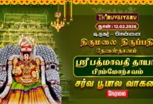 Photo of 🔴Live: ஸ்ரீ பத்மாவதி தாயார் பிரம்மோற்சவம் –  சர்வ பூபால வாகனம் | TTD Chennai T.Nagar