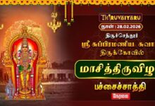 Photo of ЁЯФ┤Live : родро┐ро░рпБроЪрпНроЪрпЖроирпНродрпВро░рпН ро╕рпНро░рпА роЪрпБрокрпНрокро┐ро░роорогро┐роп роЪрпБро╡ро╛рооро┐ роЖро▓роп рооро╛роЪро┐родрпНродро┐ро░рпБро╡ро┐ро┤ро╛ рокроЪрпНроЪрпИроЪрпНроЪро╛родрпНродро┐ роЕро▓роЩрпНроХро╛ро░роорпН