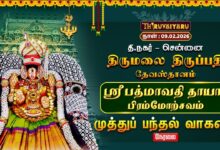 Photo of 🔴Live:திருமலை திருப்பதி தேவஸ்தானம்-தி.நகர் ஸ்ரீ பத்மாவதி தாயார் பிரம்மோற்சவம் முத்துப்பந்தல் வாகனம்