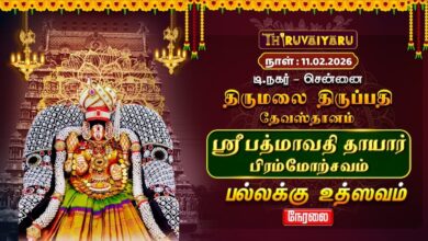 Photo of 🔴Live | ஸ்ரீ பத்மாவதி தாயார் பிரம்மோற்சவம் –  பல்லக்கு உற்சவம் | TTD Chennai T.Nagar