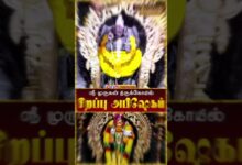 Photo of Murugan Abishekam 🔱 | முருகன் அபிஷேகம் தரிசனம் | Vel Muruga Blessings 🙏 #templefestival #devotional