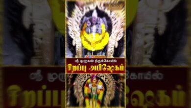 Photo of Murugan Abishekam 🔱 | முருகன் அபிஷேகம் தரிசனம் | Vel Muruga Blessings 🙏 #templefestival #devotional