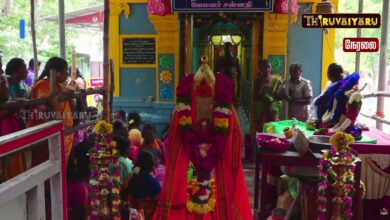 Photo of 🔴Live: ராமநாதபுரம் ஸ்ரீ வினை தீர்க்கும் வேலவன் ஆலய தைப்பூசம் உற்சவம் | Thaipusam Utsavam