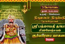 Photo of சென்னை தி.நகர் திருமலை திருப்பதி தேவஸ்தானம்ஸ்ரீ பத்மாவதி தாயார் பிரம்மோற்சவம் – சூரிய பிரபா வாகனம்