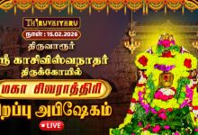 Photo of ЁЯФ┤Live : родро┐ро░рпБро╡ро╛ро░рпВро░рпН ро╕рпНро░рпА роХро╛роЪро┐ро╡ро┐ро╕рпНро╡роиро╛родро░рпН роЖро▓роп роороХро╛ роЪро┐ро╡ро░ро╛родрпНродро┐ро░ро┐ 2026 – роЪро┐ро▒рокрпНрокрпБ роЕрокро┐ро╖рпЗроХроорпН