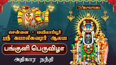 Photo of மயிலாப்பூர் ஸ்ரீ கபாலீசுவரர் ஆலய பங்குனி பெருவிழா அதிகார நந்தி | Adhikara Nandi