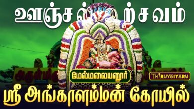 Photo of மேல்மலையனூர் ஸ்ரீ அங்காளம்மன் ஆலய பங்குனி மாத அமாவாசை ஊஞ்சல் உற்சவம் | Unjal Utsavam