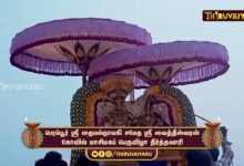 Photo of பெரம்பூர் ஸ்ரீ தையல்நாயகி சமேத ஸ்ரீ வைத்தீஸ்வரன் கோவில் மாசிமகப் பெருவிழா தீர்த்தவாரி |Theerthavari