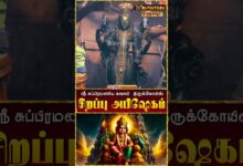 Photo of தஞ்சாவூர் ஸ்ரீ சுப்பிரமணிய சுவாமி திருக்கோயில் சிறப்பு அபிஷேகம் | Special Abishekam