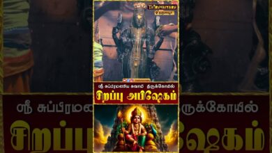 Photo of தஞ்சாவூர் ஸ்ரீ சுப்பிரமணிய சுவாமி திருக்கோயில் சிறப்பு அபிஷேகம் | Special Abishekam