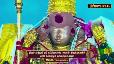 Photo of திருச்செந்தூர் ஸ்ரீ சுப்பிரமணிய சுவாமி திருக்கோயில் மாசி திருவிழா தெப்பத்திருவிழா | Theppam