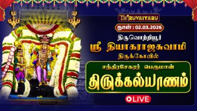 Photo of 🔴LIVE : திருவொற்றியூர் ஸ்ரீ தியாகராஜசுவாமி ஆலய சந்திரசேகரர் பெருமாள் திருக்கல்யாணம் 2026