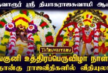 Photo of திருவாரூர் ஸ்ரீ தியாகராஜசுவாமி ஆலய பங்குனி உத்திரப்பெருவிழா நாள்-7 நான்கு ராஜவீதிகளில் வீதியுலா