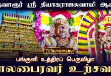 Photo of திருவாரூர் ஸ்ரீ தியாகராஜசுவாமி ஆலய பங்குனி உத்திரப் பெருவிழா நாள்-11 காலபைரவர் உற்சவம்