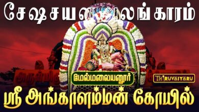 Photo of மேல்மலையனூர் ஸ்ரீ அங்காளம்மன் ஆலய பங்குனி மாத அமாவாசை சேஷ சயன அலங்காரம் | Sesha Sayana Alankaram