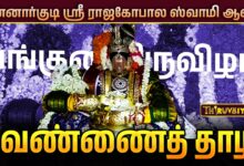 Photo of மன்னார்குடி ஸ்ரீ ராஜகோபால ஸ்வாமி ஆலய பங்குனி திருவிழா  வெண்ணைத் தாழி உற்சவம் | Vennai Thaazhi