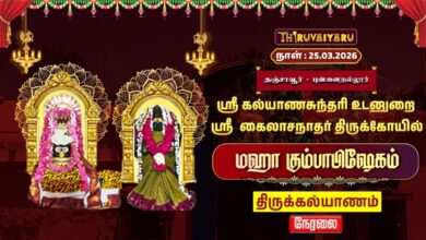 Photo of 🔴Live : தஞ்சாவூர் புன்னைநல்லூர் ஸ்ரீ கைலாசநாதர் ஆலய மஹா கும்பாபிஷேகம் திருக்கல்யாணம் |Thirukalayanam