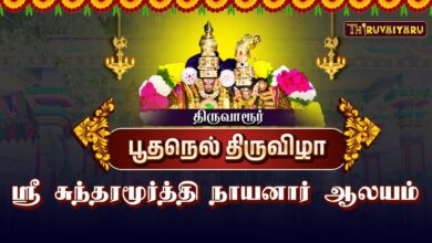 Photo of திருவாரூர் ஸ்ரீ சுந்தரமூர்த்தி நாயனார் திருக்கோயில் பூதநெல் திருவிழா | Boothanel