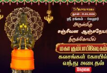 Photo of 🔴Live : ஸ்ரீரங்கம் – மேலூர் ஸ்ரீ சஞ்சீவன ஆஞ்சநேயர் ஆலய கும்பாபிஷேகம் கலசங்கள் கோயில் வந்து அடைதல்