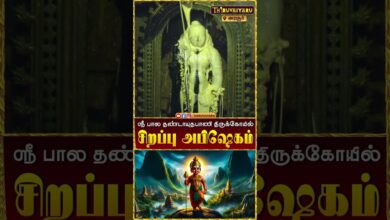 Photo of அரசூர் ஸ்ரீ பால தண்டாயுதபாணி திருக்கோயில் சிறப்பு அபிஷேகம் | Abishekam