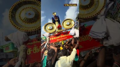 Photo of வெல்லும் புலி ஒரு நாளும் புல்லை திங்காது… 🔥🔥🔥…..#thiruvaiyaru #ayyampettai #chakkarapalli