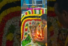 Photo of யானை வாகனம் 🐘 #templefestival #hindufestival #tamiltemple #devotional #thiruvaiyaru #ஆன்மிகம்