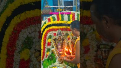 Photo of யானை வாகனம் 🐘 #templefestival #hindufestival #tamiltemple #devotional #thiruvaiyaru #ஆன்மிகம்