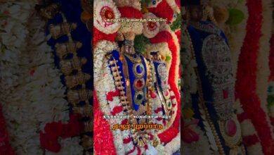Photo of திருக்கானூர் ஏழூர் புறப்பாடு #tamiltemple #tamiltemple #thiruvaiyaru