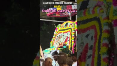 Photo of திருவையாறு சித்திரை பெருவிழா நாள் 1 வெள்ளி படிச்சட்டம் #thiruvaiyaru #aiyarappar #trendingreels