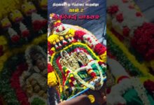 Photo of ஆதிசேஷ வாகனம் #templefestival #hindufestival #tamiltemple #ஆன்மிகம் #thiruvaiyaru #southindiantemple