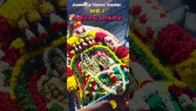 Photo of ஆதிசேஷ வாகனம் #templefestival #hindufestival #tamiltemple #ஆன்மிகம் #thiruvaiyaru #southindiantemple
