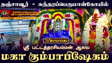 Photo of தஞ்சாவூர் – சுந்தரப்பெருமாள்கோயில் ஸ்ரீ பட்டத்தரசியம்மன் ஆலய மகா கும்பாபிஷேகம் முழு தொகுப்பு