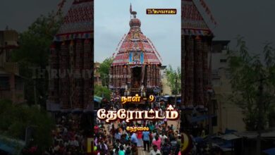 Photo of திருவையாறு ஸ்ரீ ஐயாறப்பர் ஆலய சித்திரைப் பெருவிழா நாள்-9 தேரோட்டம் | Therottam Promo