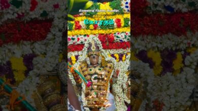 Photo of கோரதம்… #thiruvaiyaru #aiyarappar #chithiraifestival #chithiraithiruvizha2026 #trendingreels