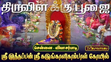 Photo of சென்னை – வியாசர்பாடி ஸ்ரீ முத்தப்பன் ஸ்ரீ கருங்காளிகாம்பாள் ஆலய திருவிளக்கு பூஜை | Vilakku Poojai