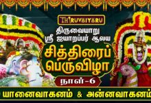 Photo of திருவையாறு ஸ்ரீ ஐயாறப்பர் ஆலய சித்திரைப் பெருவிழா நாள்-6 | Day – 6