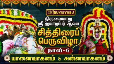 Photo of திருவையாறு ஸ்ரீ ஐயாறப்பர் ஆலய சித்திரைப் பெருவிழா நாள்-6 | Day – 6
