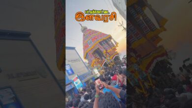 Photo of பட்டுக்கோட்டை ஸ்ரீ நாடியம்மன் தேர் திருவிழா #templefestival #pattukkottai #nadiyamman #hindufestival